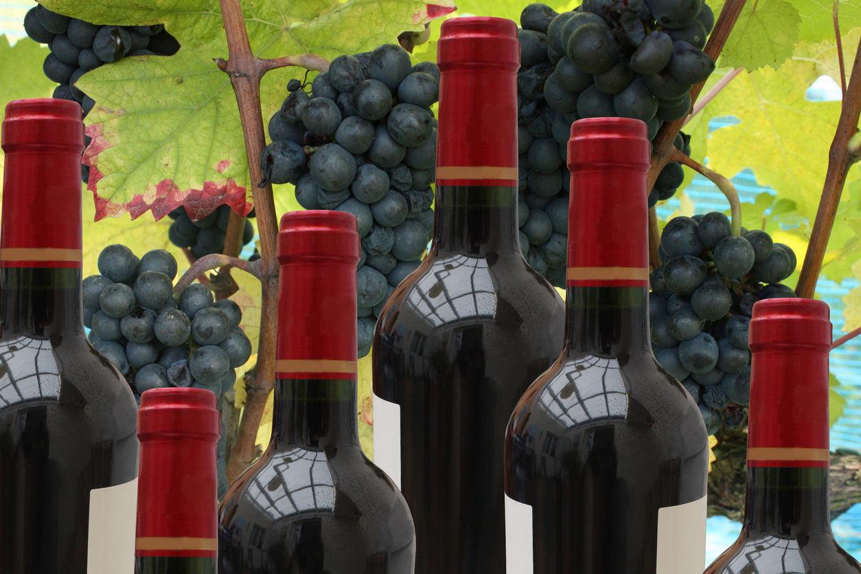 Bordeaux – Die Legende unter den Rotweinen - Kochschein