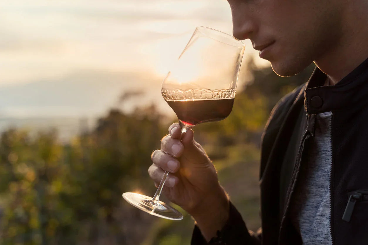 Welches Rotweinglas ist das richtige? – Tipps für Genießer - Kochschein