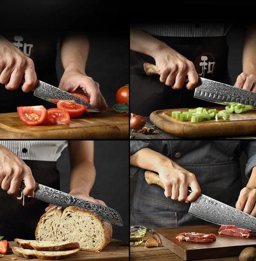 HEZHEN Damastmesser SET - Master Series | 67-Lagen (Einzeln oder Sets) - Kochschein