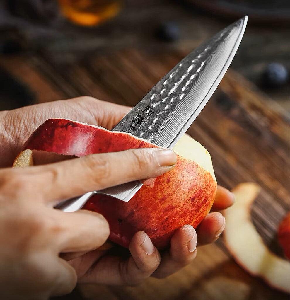 HEZHEN Damastmesser - Master Series 5 Zoll | 73-Lagen Premium Qualität - Kochschein