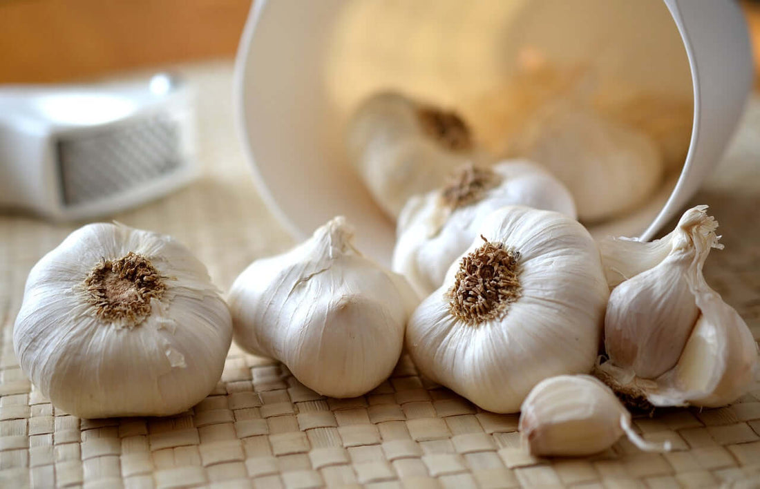 Der vielseitige Knoblauch - ein amüsanter Einblick | Kochschein