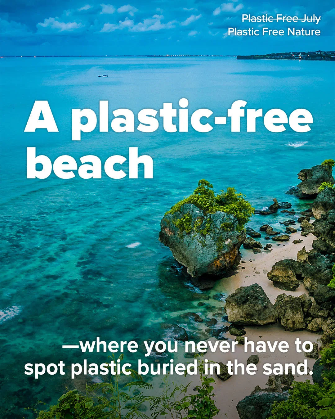 Rekord beim Bäume pflanzen - Kochschein