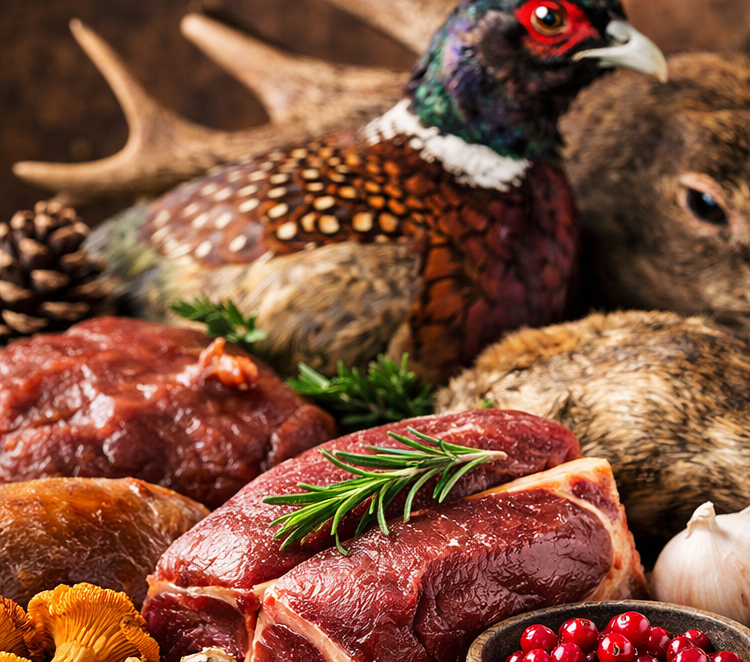 Wild – ein Klassiker auf dem Teller: Geschichte, Arten, Besonderheiten und ein festliches Rezept - Kochschein