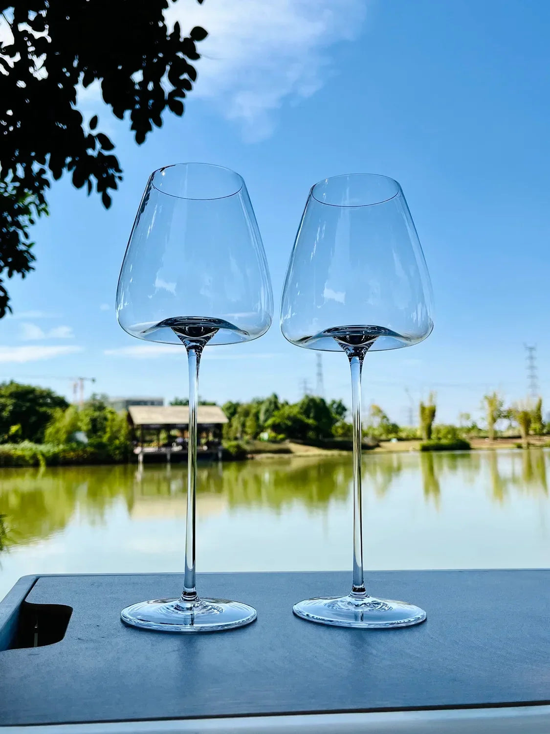 Dünnes exklusives Weinglas 650ml/800ml | Rotwein